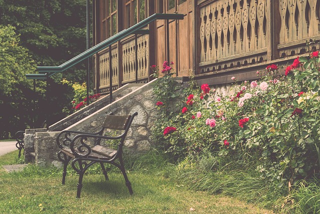 李小龍提倡 李小龍提倡