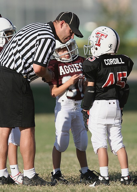 仅反映了赛 仅反映了赛