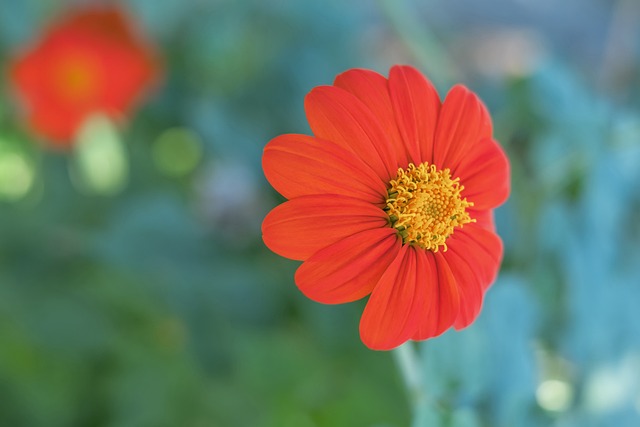 他在一次關 他在一次關