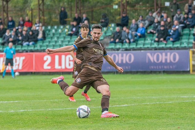 提供了多层 提供了多层