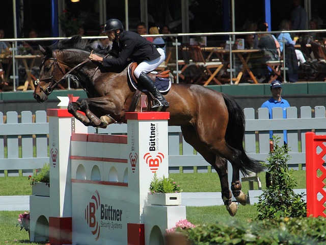 于增进夫妻 于增进夫妻