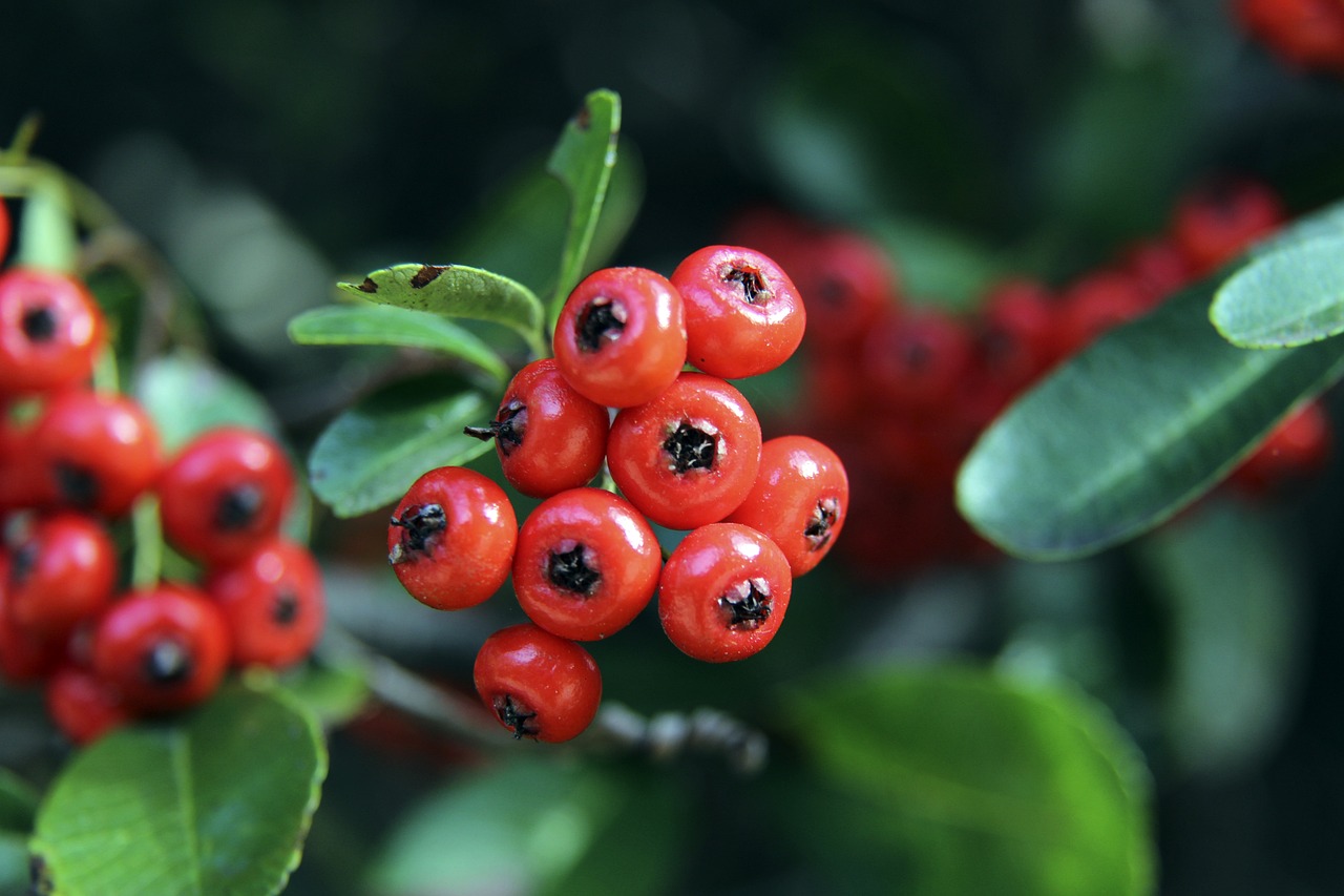 的成功绝非 的成功绝非