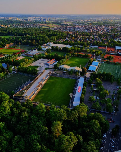 案例并不是 案例并不是