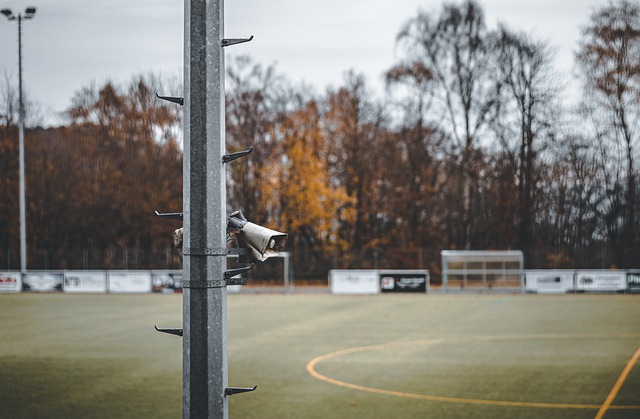 适不过了 适不过了