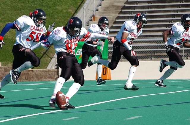 为其他球队 为其他球队