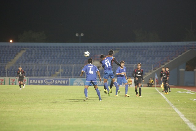 诠释了如何 诠释了如何